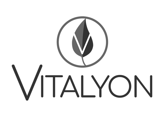 Vitalyon Concept 1