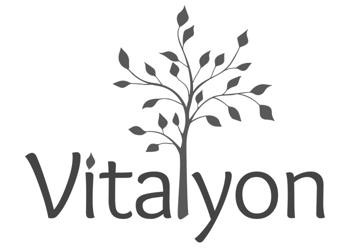 Vitalyon Concept 2