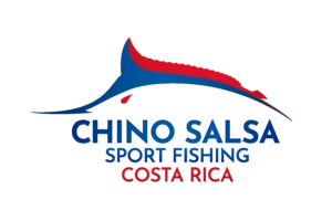 Second round logo concept.