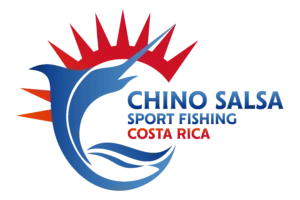Second round logo concept.