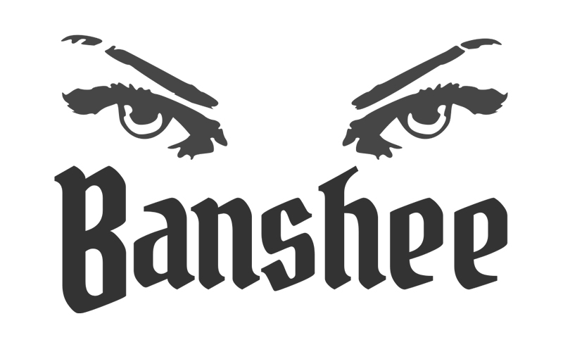 Third concept for the Banshee logo.