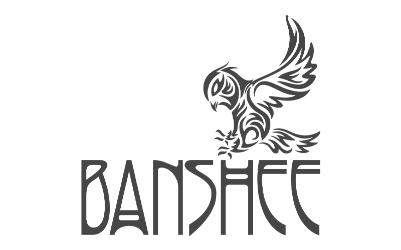Second concept for the Banshee logo.